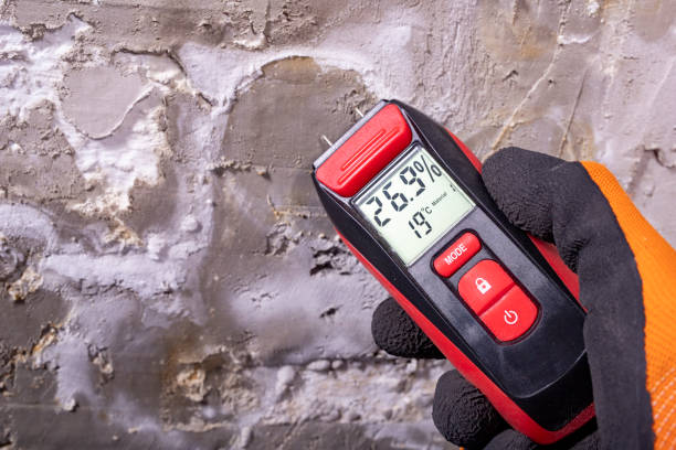 Best Mold Testing  in Mountain View Ranches, AZ