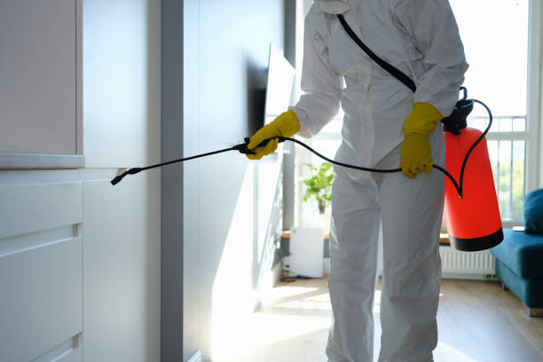 Certified Mold Removal in Mountain View Ranches, AZ